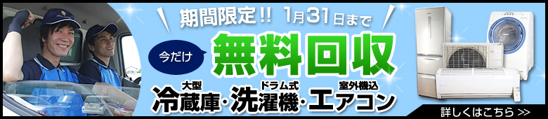 2019年1月-期間限定キャンペーン